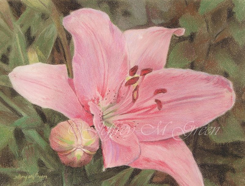 © Jeffrey M Green. "Consider the Lilies", 8.5” x 11”, pastels. Oil painting © Jeffrey M Green. "Consider the Lilies", 8.5” x 11”, pastels. by Jeffrey Green
