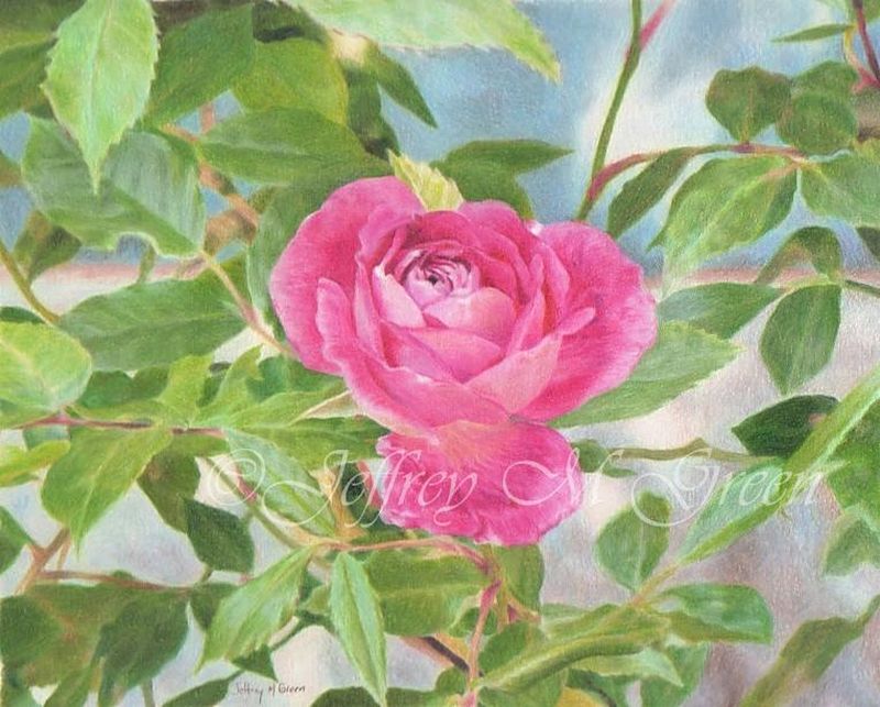 © Jeffrey M Green. “Opening”, 8” x 10”, colored pencils. © Jeffrey M Green. “Opening”, 8” x 10”, colored pencils. by Jeffrey Green
