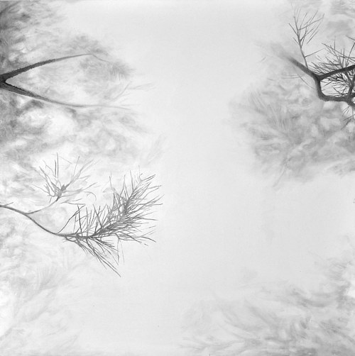 A black and white painting of tree branches