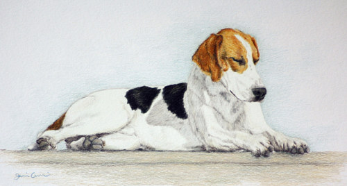 A drawing of a dog taking a nap