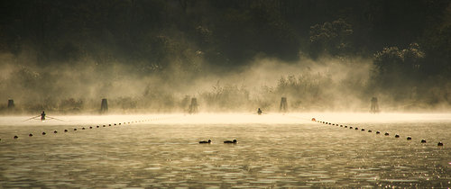 bg_3111351034955.jpg