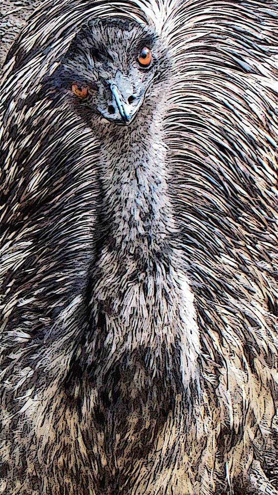 MALAGA EMU by Joeann Edmonds-Matthew