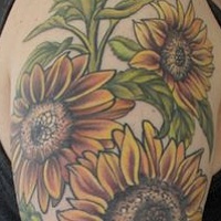 //images.artistrunwebsite.com/gallery/img_1071281402612218_large.jpg?1673329165
