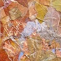 Copper Light by Deborah J Gorman