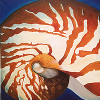 Oil painting Tiger Nautilus by Carmen Estrada