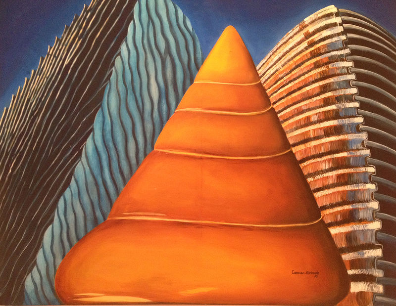 Oil painting Cone shell by Carmen Estrada