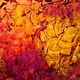 Oil painting  &quot;Revolution&quot;  by Marilyn Nelson