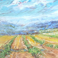 Chemin de Lac Vineyard by Lisa Printz