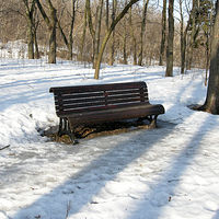 Mont Royal, Montreal, Quebec by Edith Dora Rey