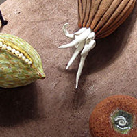 Holding-Releasing Organomorph Series II, 2009 by Eva Champagne