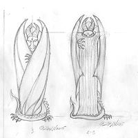 Drawing hicsuntdraco sketch &quot;I&quot; - 2.0 and 2.1 by Sue Ellen Brown