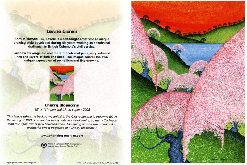 Cherry Blossoms by Lawrie  Dignan