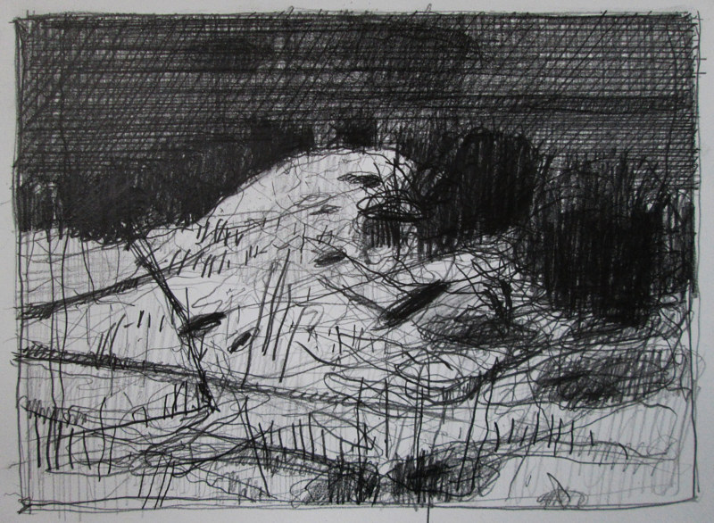 Drawing Orchard Ridge by Harry Stooshinoff