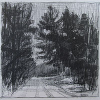Drawing Home Pines by Harry Stooshinoff