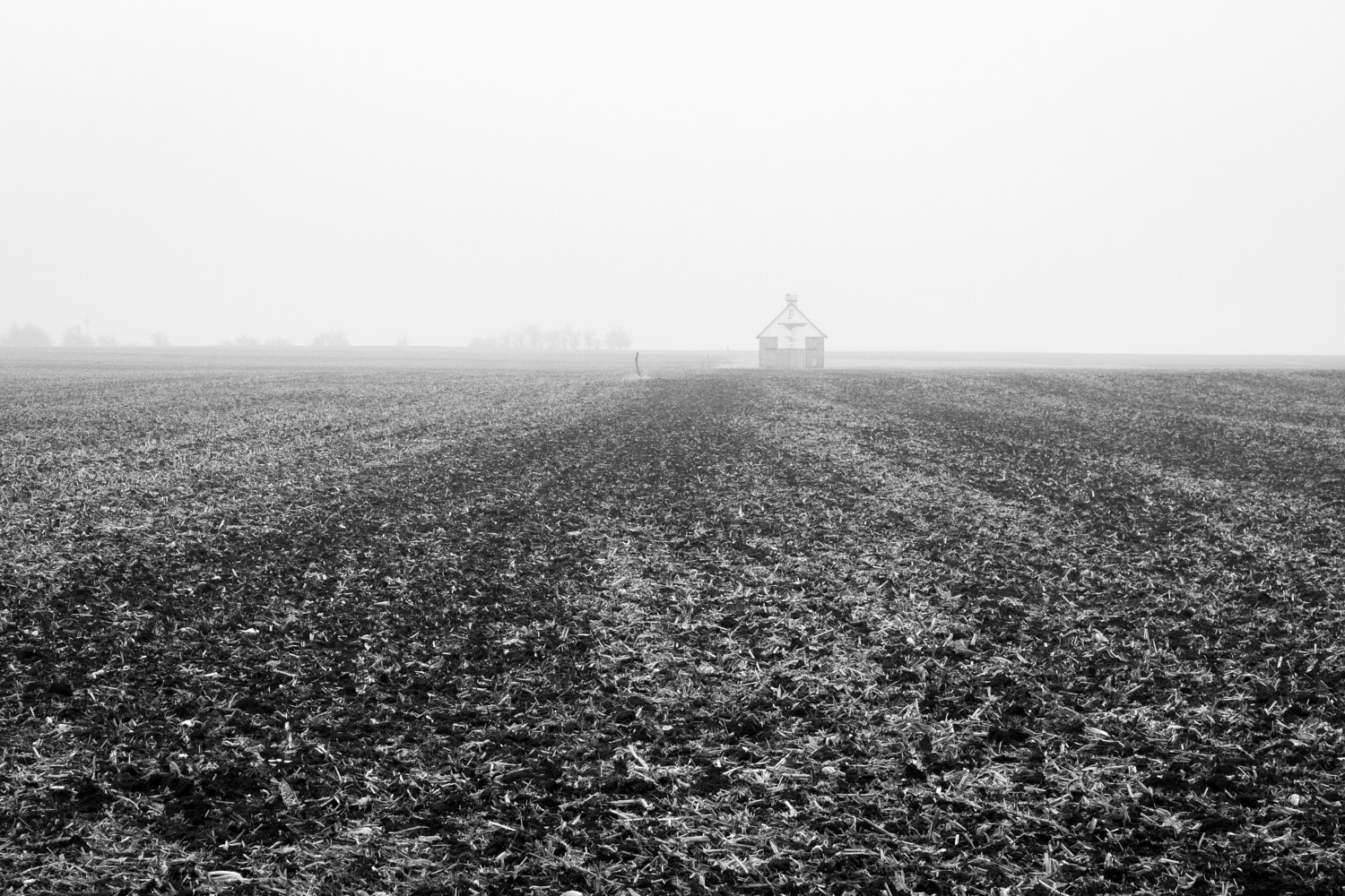Shed Cropsy, 10-2014 IL by Theodore Diamond