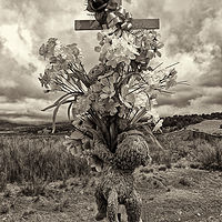 Descanso with two monkeys, Cuba, NM. 2015 by Jim Holbrook