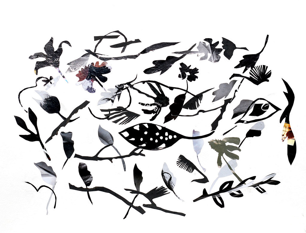 Drawing "Roundup" by RONNIE SPIEWAK