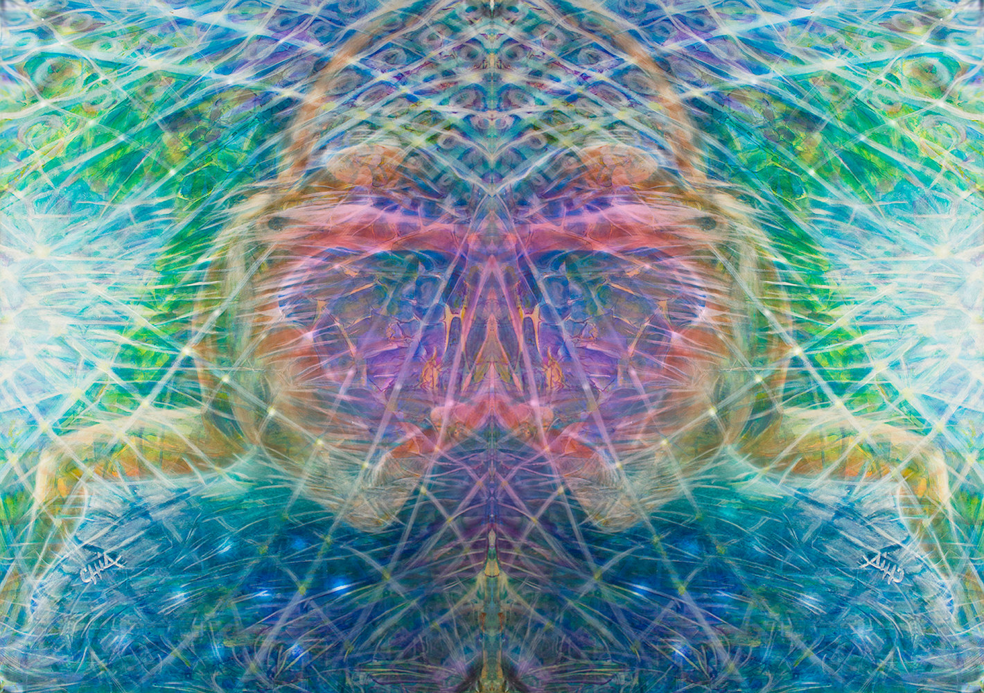 Photography Thriving 16.5' X 12' Limited Edition Reproduction by Chía Ortegón