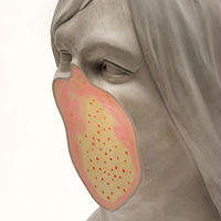 Busts: Unmet Series - Christina A. West