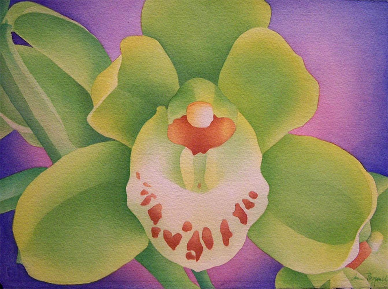 Watercolor Cymbidium by Anne Popperwell