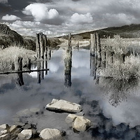 Pitt River 1 by Jim Friesen