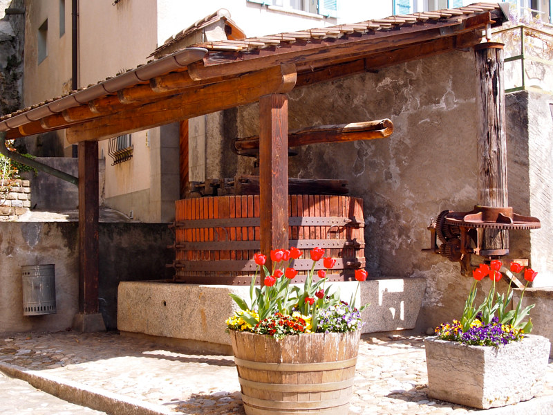 Wine Press by Ann Williams
