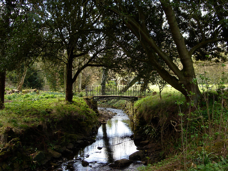 Cambo House, Scotland by Ann Williams