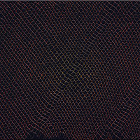 Drawing  Dragonskin in molten flow by Sue Ellen Brown