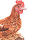 Dessin de poule, octobre 2015 by Genevieve Desy