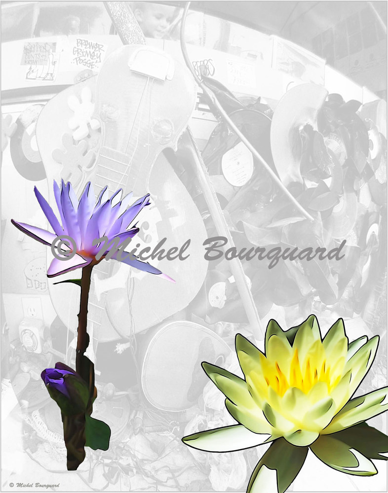 Twin Flowers, Purple and Yellow by Michel Bourquard
