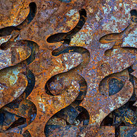 &quot;Three Cobras, Iron&quot; by Hunter Madsen