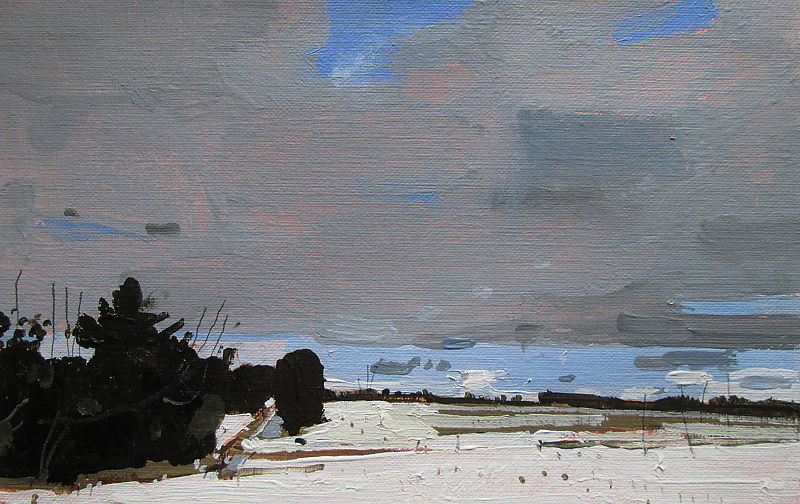 Acrylic painting Field Walk by Harry Stooshinoff
