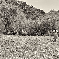 Dona Chimi and the Fields before the Rain 2014 by Jim Holbrook