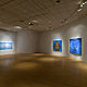 Delirium exhibition by Renee Duval