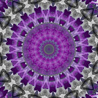 Purple Petals Mandela by Elaine Lauzon