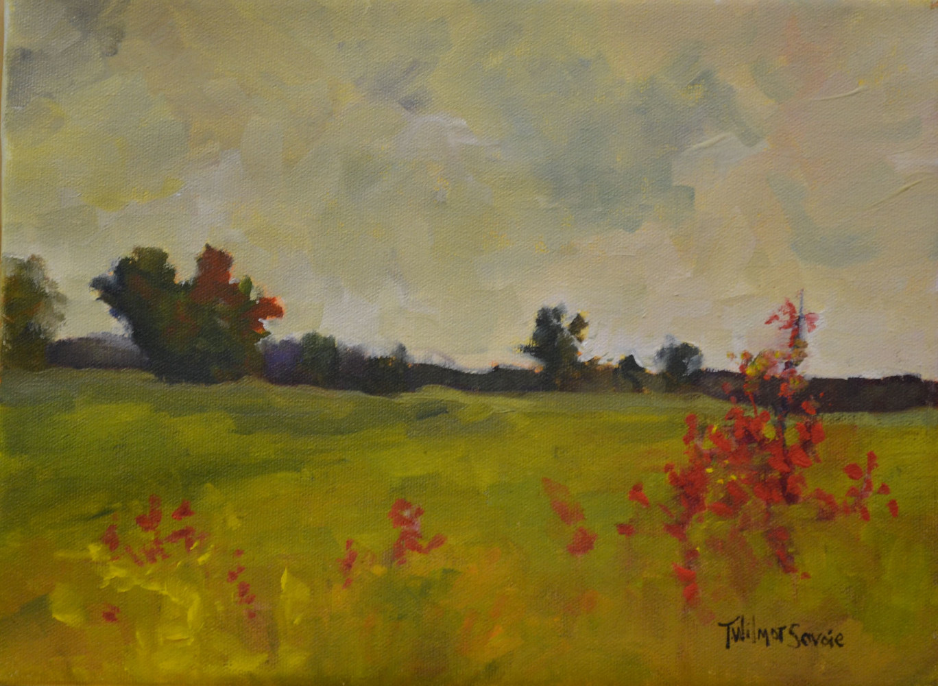 Catching the Wind, 25-0914 by Patricia Savoie