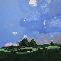 Acrylic painting Fly by Harry Stooshinoff