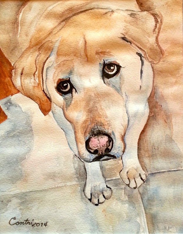 Murphy by Kathleen Contri