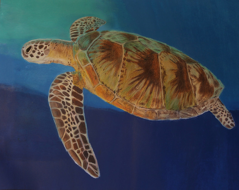 Drawing  Floating Prismacolor Pencils by Steve Latimer