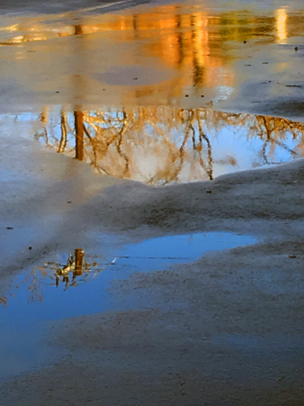 After the rain by Richard  Ashby