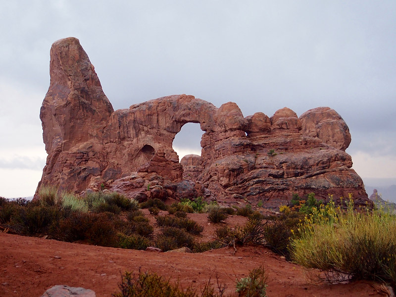 North Window by Ann Williams