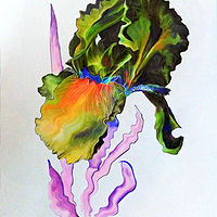 Print Iris of a Different Color by David Neace