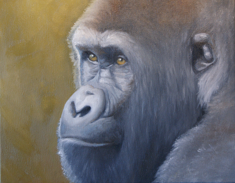 Thoughtful_16x20 by Adam Thomas