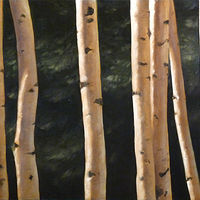 Birch_20x30  by Adam Thomas
