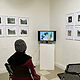 Photo Installation: Transient and Lacking Wings by Judy Southerland