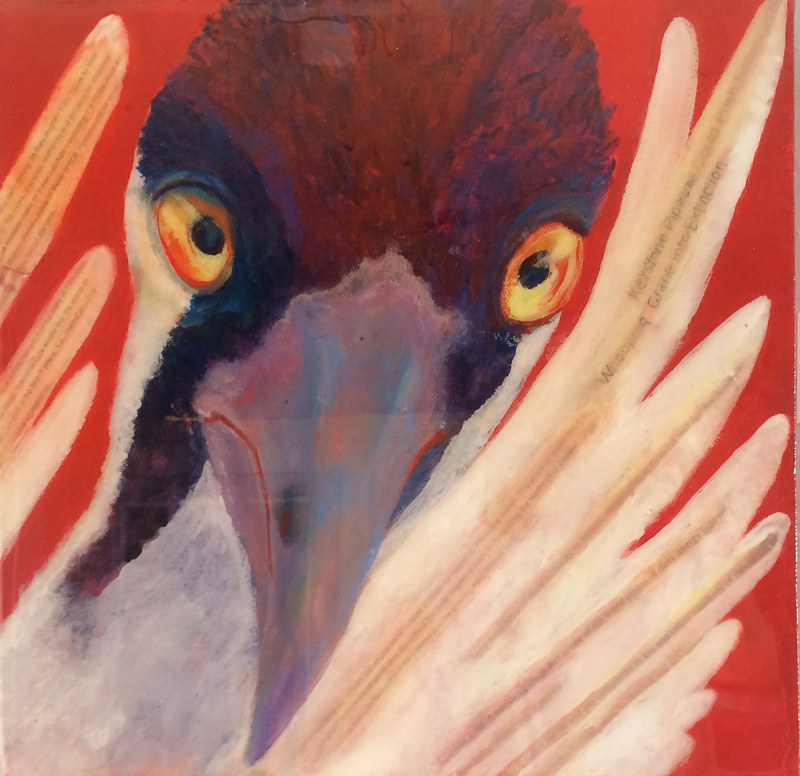 whooping crain by Frederica  Hall