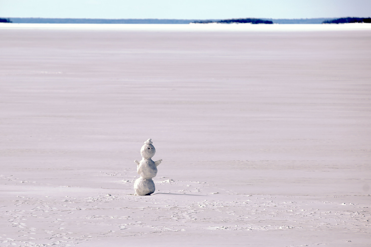 Standing Guard on Lake Nipissing by Marc Brisson
