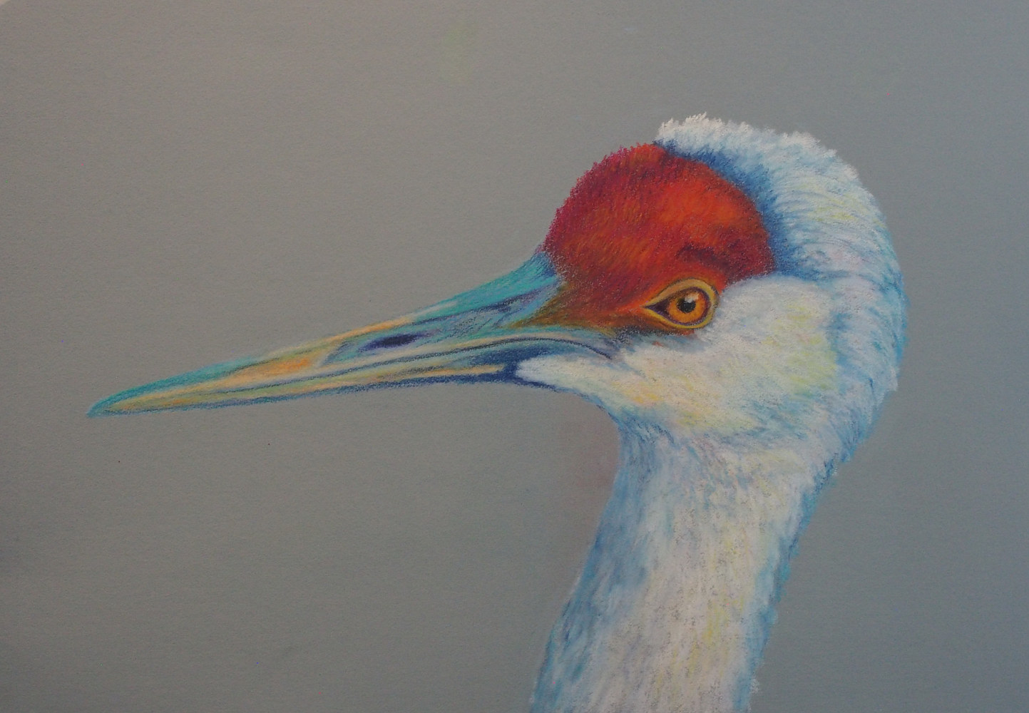 Photography Crane Head by Brent Ciccone