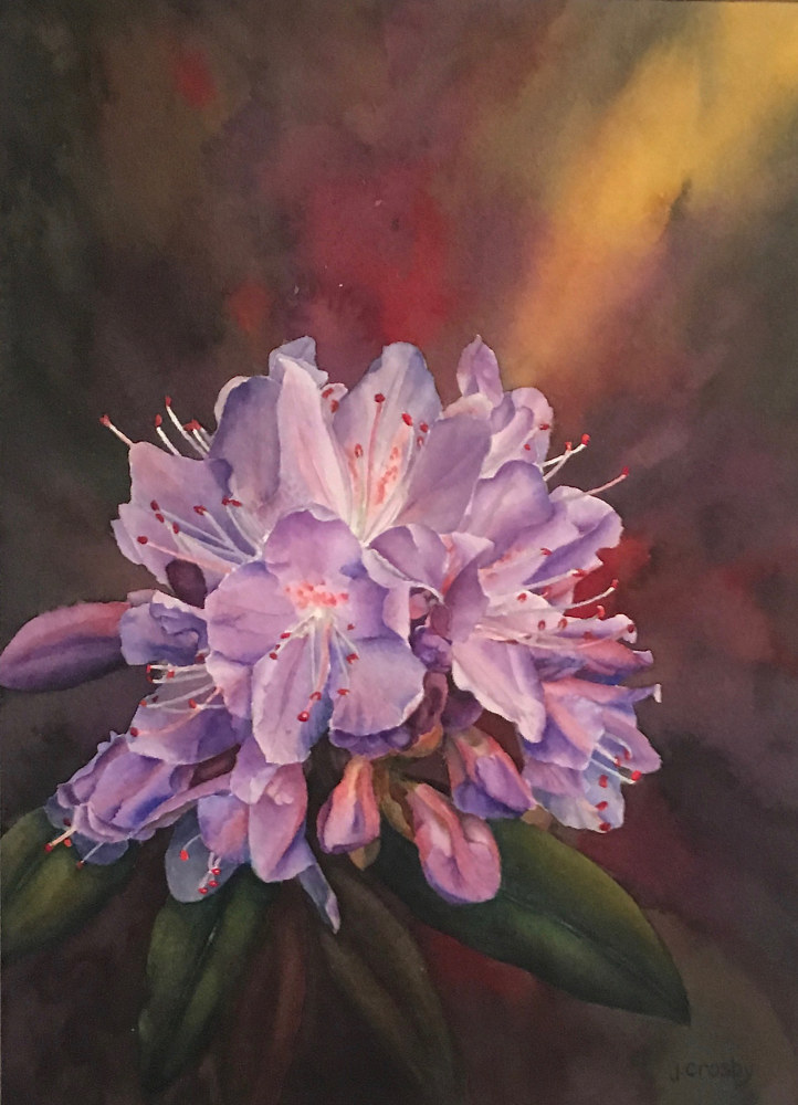 Watercolor Purple Rhoddie by Jane Crosby