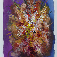 Drawing Floral 15 by David Neace